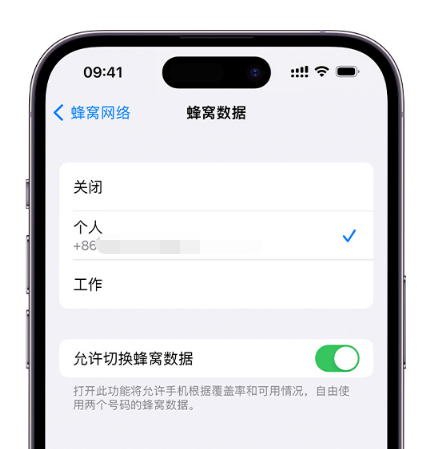 三道镇苹果维修服务分享如何在iPhone上使用双卡 